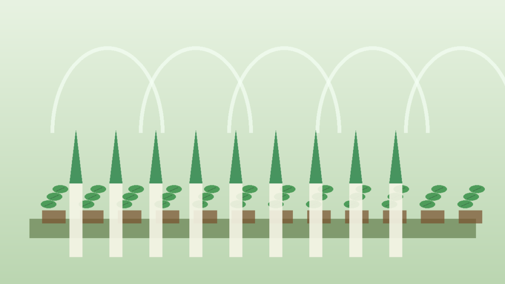 Comment cultiver les poireaux : Guide plantation